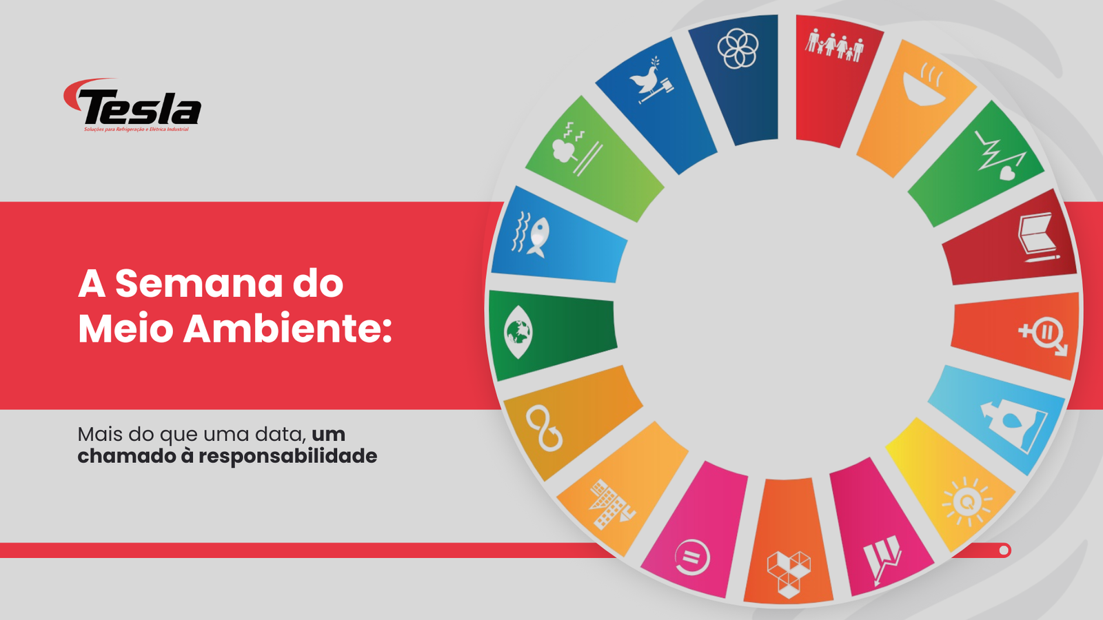 Semana do Meio Ambiente: Mais do que uma data, um chamado à responsabilidade